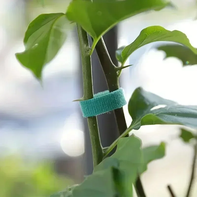 1/100 M Ayarlanabilir Kendinde - Gear Tie Reusable incelemesi ve fiyatı